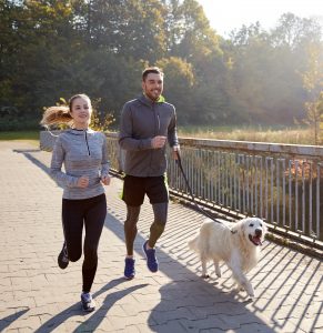 ノーリードの犬と接触事故に遭った ノーリードのペットの飼い主の責任は ペット弁護士の法律相談